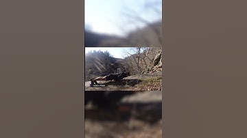 I DID 7,000 PUSHUPS IN 24 HOURS! #andrewtate #pushups #tatespeech