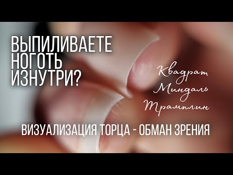 Визуализация торца. Квадрат, Трамплин, Миндаль .