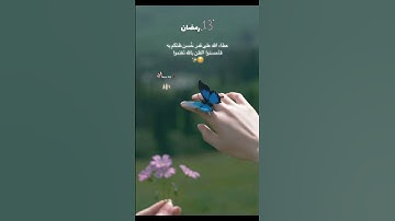 تلاوة عطرة في اليوم الثالث عشر من رمضان 🌙 #رمضان #بلال_دربالي #تلاوة_رمضانية