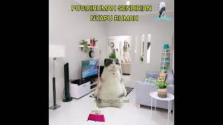 poc dirumah sendirian#meme #trendingmusic #fypシ゚viral
