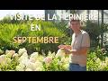 Présentation de la pépinière en SEPTEMBRE