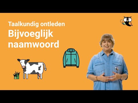 Video: Is zelfbewust een bijvoeglijk naamwoord?