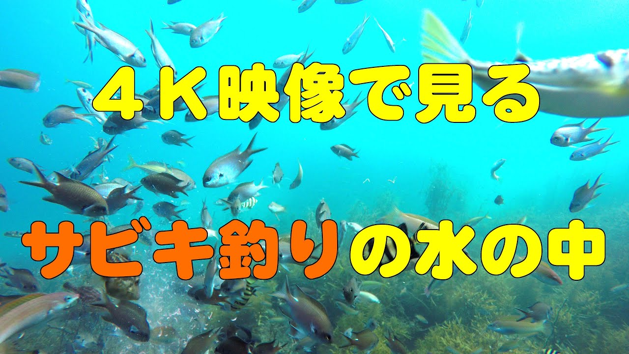 大阪の釣りスポットおすすめ選 初心者でも狙える穴場や釣り方のコツもご紹介 暮らし の