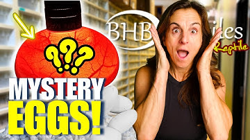 Candling Our NEW Mystery Ball Python Clutch Of EGGS!