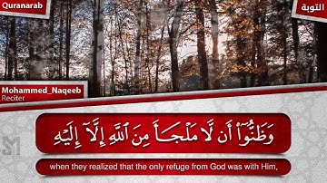 القارئ محمد النقيب وعلى الثلاثة الذين خلفوا حتى اذا ضاقت عليهم الارض