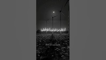 اكتب شيء تؤجر عليه ❤️😴-تلاوة خاشعة-بصوت محمد اللحيدان