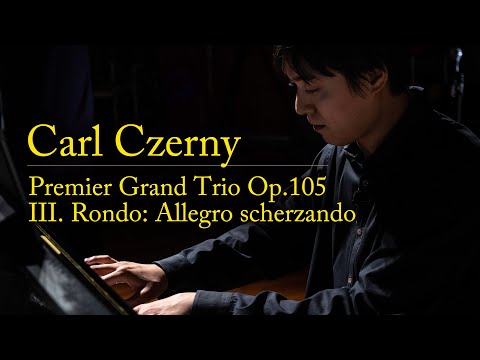 ツェルニー ピアノ演奏の基礎　　Carl Czerny カール・ツェルニー ツェルニー ピアノ演奏の基礎 | C. ツェルニー |本 | 通販 | Amazon