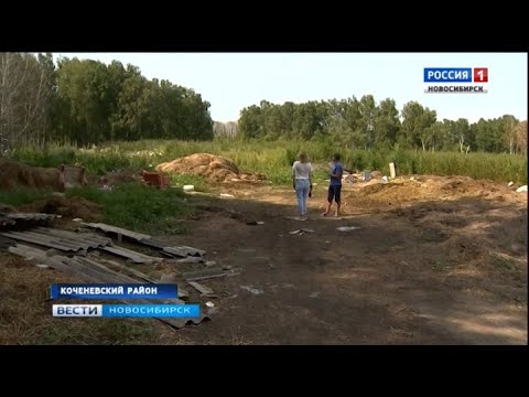 newspaper mockup Жители села Прокудское в Коченевском районе жалуются на залитый навозом лес
