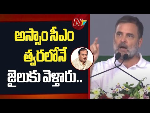 మోడీ, అమిత్ షా కూడా కాపాడలేరు..  | Rahul Gandhi Shocking Comments On Assam CM Himanta Biswa Sarma - NTVTELUGU