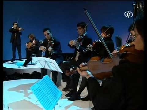 Vivaldi - Concerto in re min per viola d'amore, liuto, archi e cembalo RV 540 Il Giardino Armonico