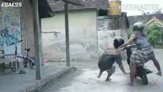 Vidio lucu agos kotak semongko (story wa)
