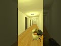 Running Away From Hammod Habibi in Liminal Hotel Gmod Nextbot #shorts