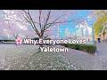 POV Spring in Yaletown, Vancouver 🌸 Cherry Blossoms at David Lam Park