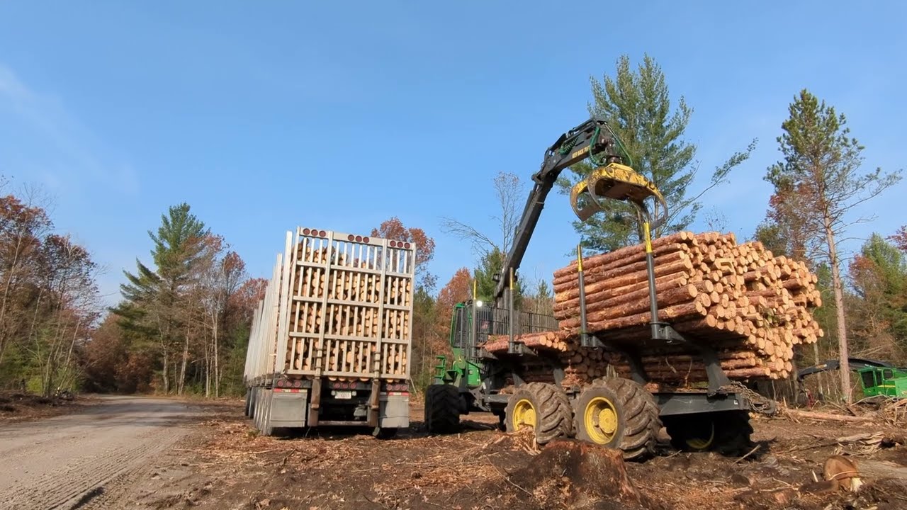TigerCat 1165 cutting oak, Red Pine. and Ponsse & John Deere forwarders loading trailers