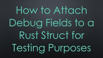 How to Attach Debug Fields to a Rust Struct for Testing Purposes