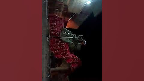 القارئ الشيخ ممدوح عبدالستار محمدموسى اخرالاحزاب والقصار