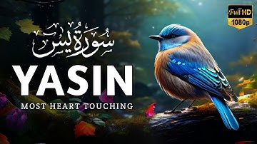 World's most beautiful Quran recitation of Surah Yasin (Yaseen) سورة يس | YT Holy Quran