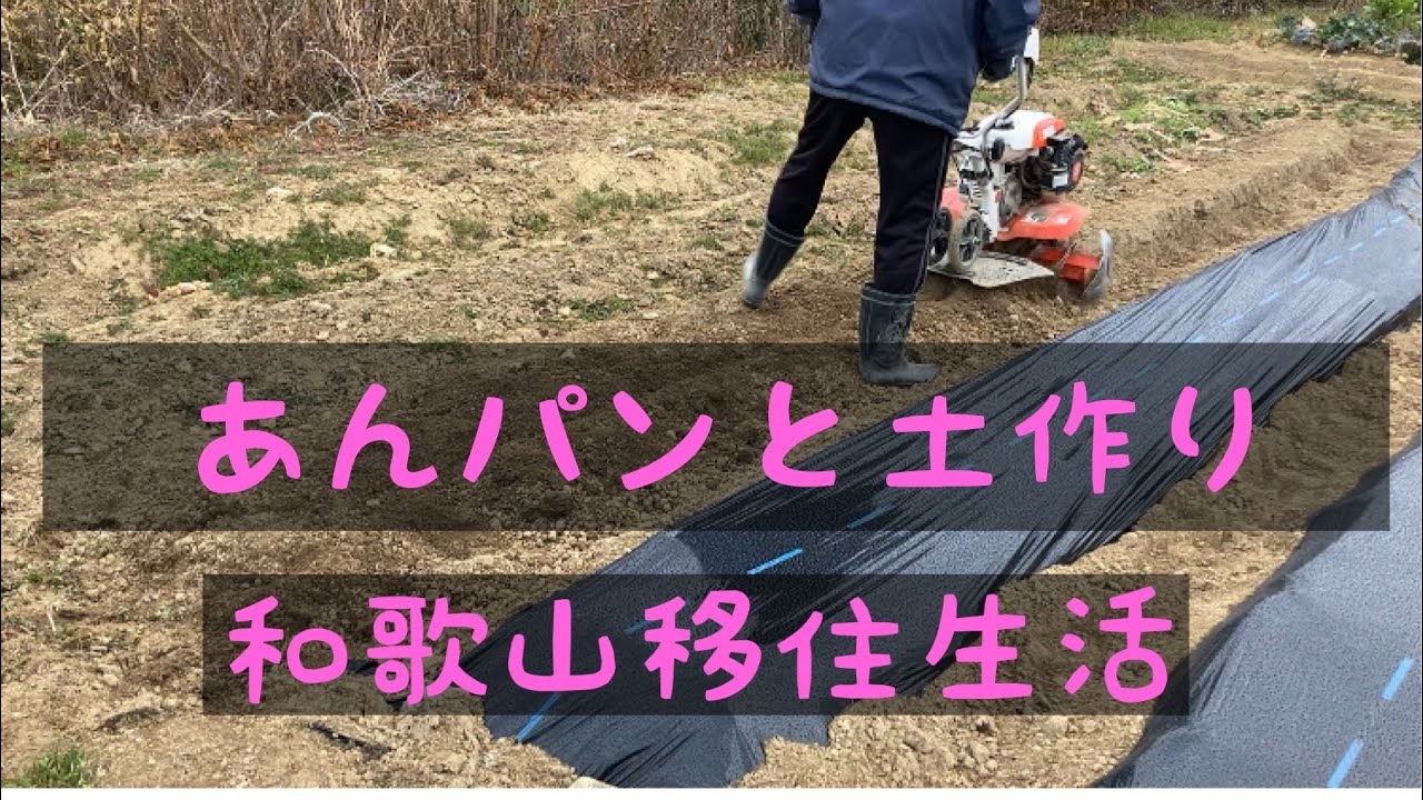和歌山移住生活自己満足　あんパンと耕運機　冬の土いじり