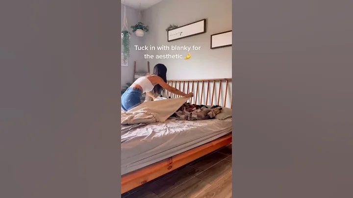 PICTURE DAY WITH 8 WEENS. 📸 #dog #dachshund #shorts