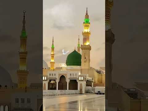 Islamic Video Beautiful Nasheed Viral اسلامی Ytshort 