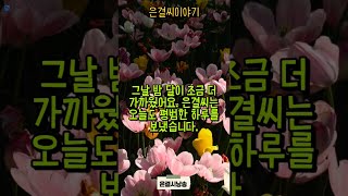 [은결씨이야기]잠들기 전 수면용 감동이야기