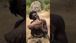 Suku Hadzabe Makan Babi Hutan