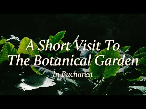 Video: Botanical Garden (Bucharest Botanical Garden) description and photos - Romania: Bucharest