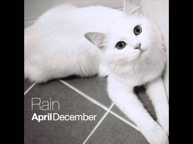April December feat ssoon - 02 rain class=