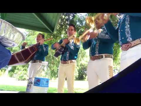Los Mejores Mariachis En West Palm Beach You Los Mejores Mariachis En West Palm Beach
