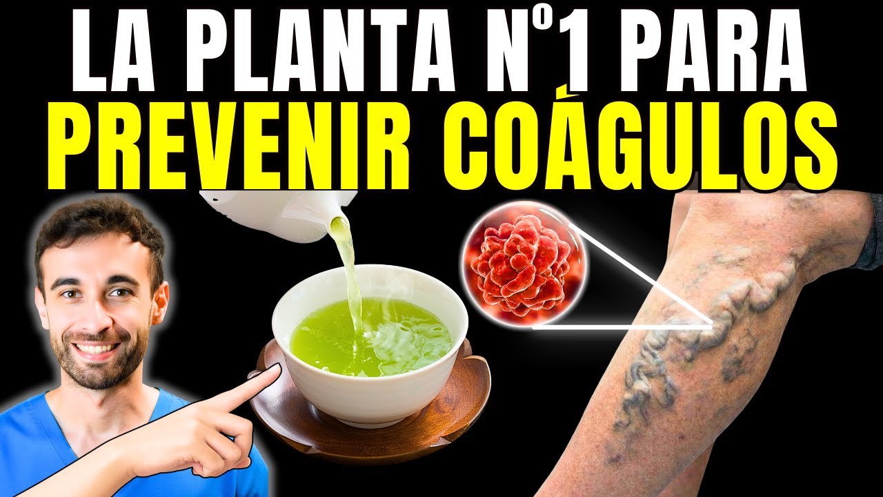 La PLANTA #1 para Prevenir que la SANGRE se COAGULE