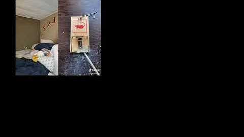 up to faster 4 to Donaldducc and Shark puppet