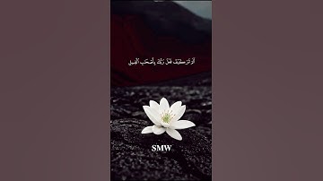 #سورة_الفيل