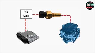 How is working Fuel temperature Sensor & engine coolant temperature ECT ￼￼FTC sensor