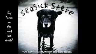 Seasick Steve ‎– Treasures   (Audio only)