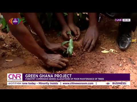 Green Ghana Project: Forestry Commission denies allegations of poor maintenance of trees