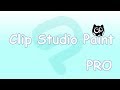Clip Studio Paint Pro | Основные функции и инструменты