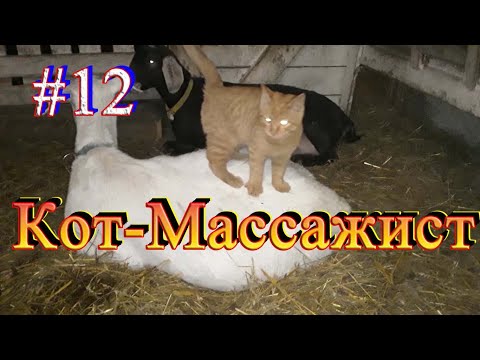 Video: Жапон гейшасынан алынган 5 массаж сыры