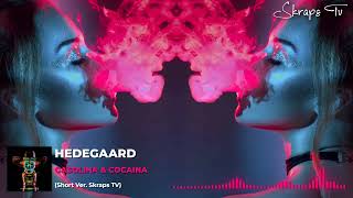 HEDEGAARD - GASOLINA & COCAINA (Short Ver. Skraps Tv) Resimi