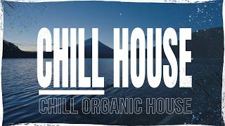 Chill U0026 Organic House Mix 2026  Mixed By Leo Wilcox
