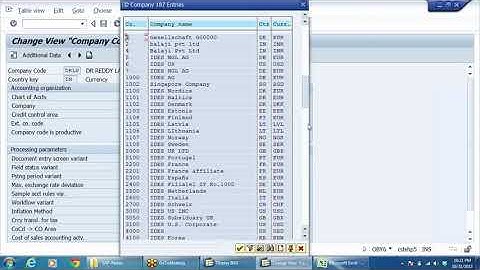 SAP FICO : Intercompany Posting
