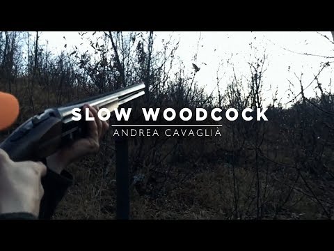 SLOW WOODCOCK | Caccia alla Beccaccia