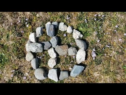 @NVSD44 #NVSDIndigenous Medicine Wheel Exercise