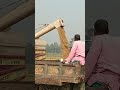 New Technology Paddy Cutting Harvesting