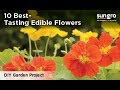 10 Best-Tasting Edible Flowers with Black Gold®