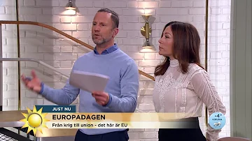 Hur mycket betalar Sverige till EU varje år?