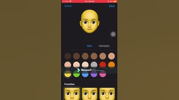 How to make memoji on IOS 13.2.4