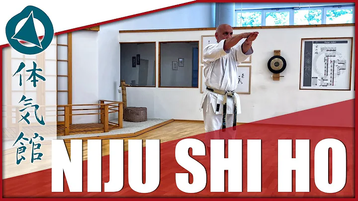 HOW TO: NIJU SHI HO  SLOW & FAST | Shtkan Karate Kata by Fiore Tartaglia