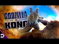 Why did godzilla attack kong  godzilla x kong lore explained