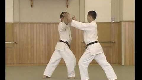 Yoshinkan Aikido - Yokomen Uchi Ikkajo Ni
