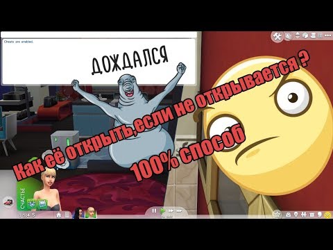 Не открывается консоль для ввода кодов в The Sims 4!ЧТО ЖЕ ДЕЛАТЬ?100 способ